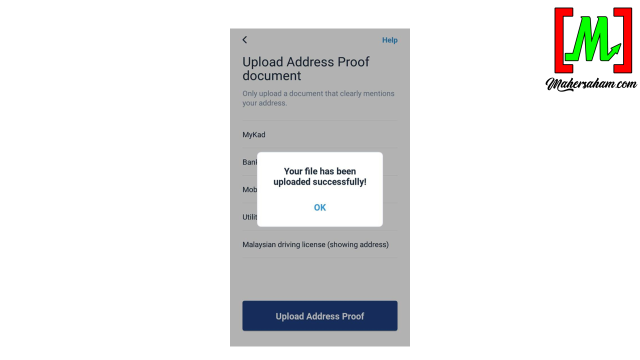 Wahed Invest registration continued