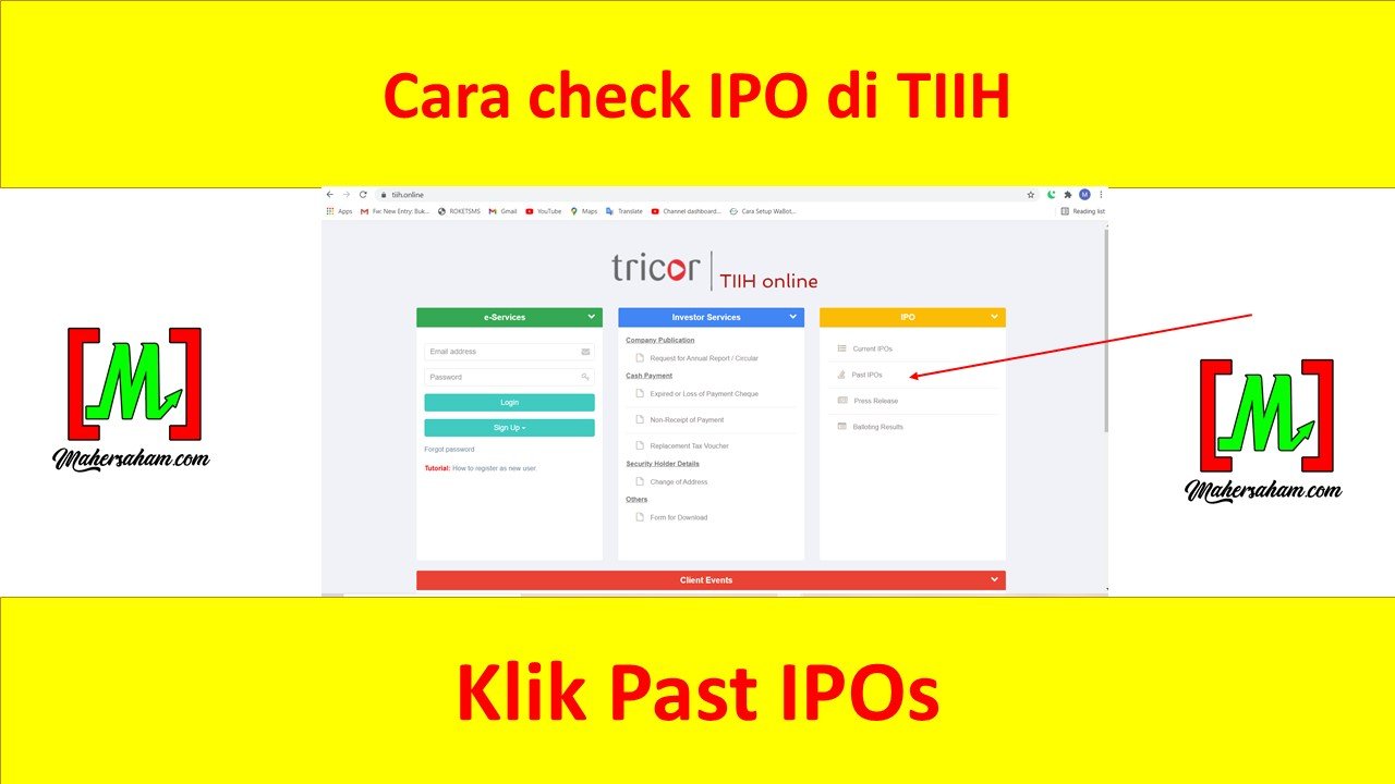 Click Past IPOs on TIIH website