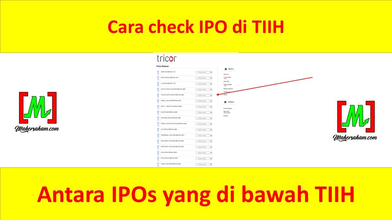 Balloting results and basis of allotment for IPO