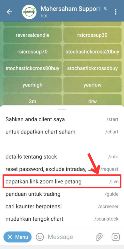 Mahersaham Support Bot